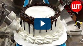 Cake Day USA