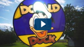 Donald Duck Birthday