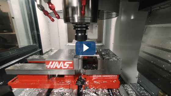 Haas-Trident